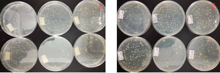 “超聲波處理對(duì)稻谷表面微生物的影響”發(fā)表論文啦！！